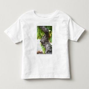 A branch of a very old vine with gnarled toddler T-Shirt