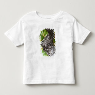 A branch of a very old vine with gnarled toddler T-Shirt