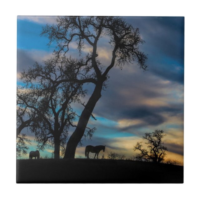 A Break in the Storm Horse Art Tile (Front)