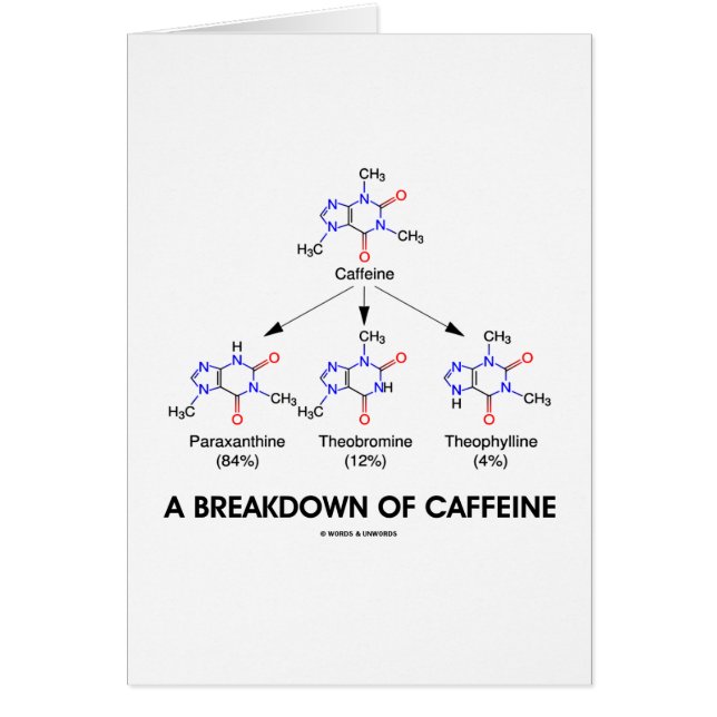 A Breakdown Of Caffeine (Chemical Molecules) (Front)
