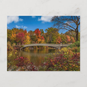 A bridge in Central Park Postcard