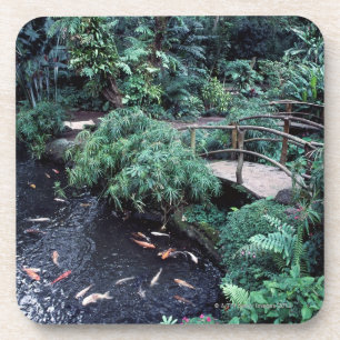 A bridge over a goldfish pond surrounded by coaster