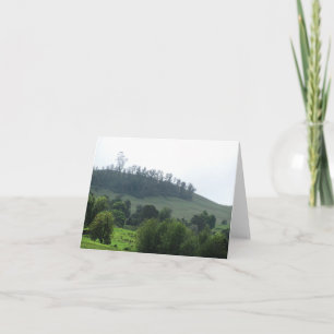 A bright patch Upcountry Greeting Card