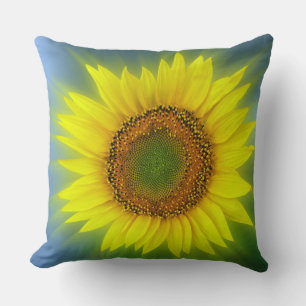 a bright sunflower cushion