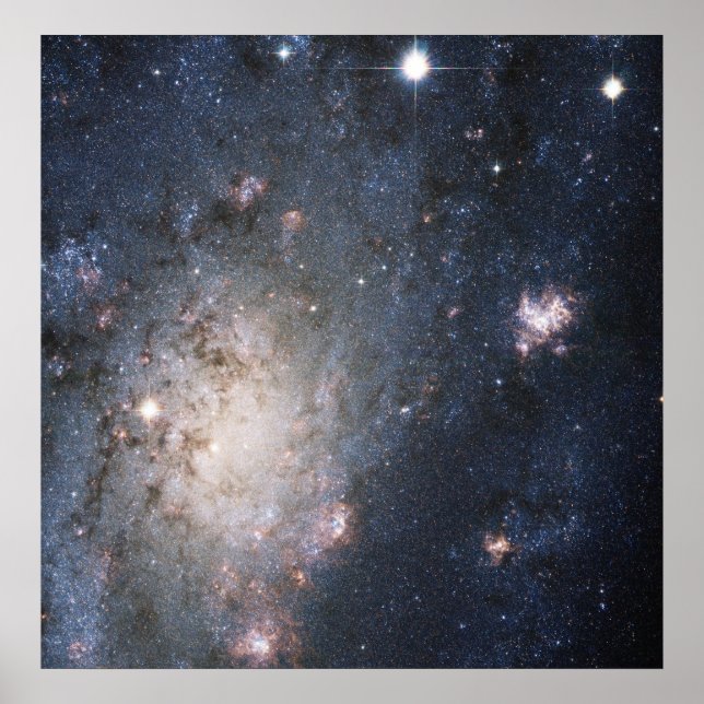 A Bright Supernova in the Nearby Galaxy NGC 2403 Poster (Front)