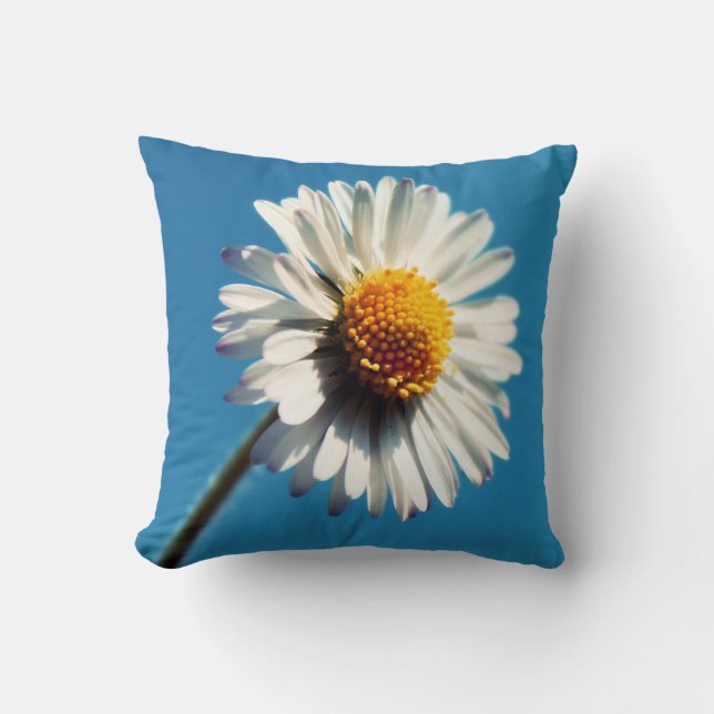 A Bright White Daisy under a Big Blue Sky Cushion (Front)