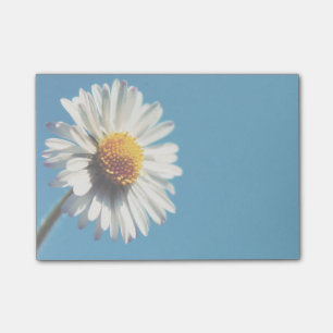 A Bright White Daisy under a Big Blue Sky Post-it Notes