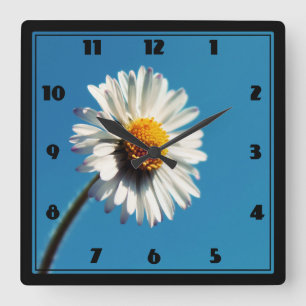 A Bright White Daisy under a Big Blue Sky Square Wall Clock