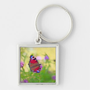 A brightly coloured Peacock butterfly is Key Ring