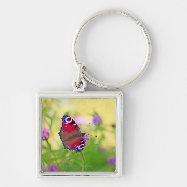 A brightly coloured Peacock butterfly is Key Ring (Front)