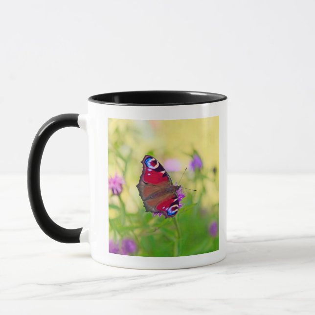 A brightly coloured Peacock butterfly is Mug (Left)