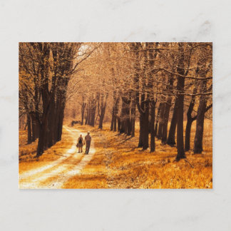 A Brilliant Life Postcard