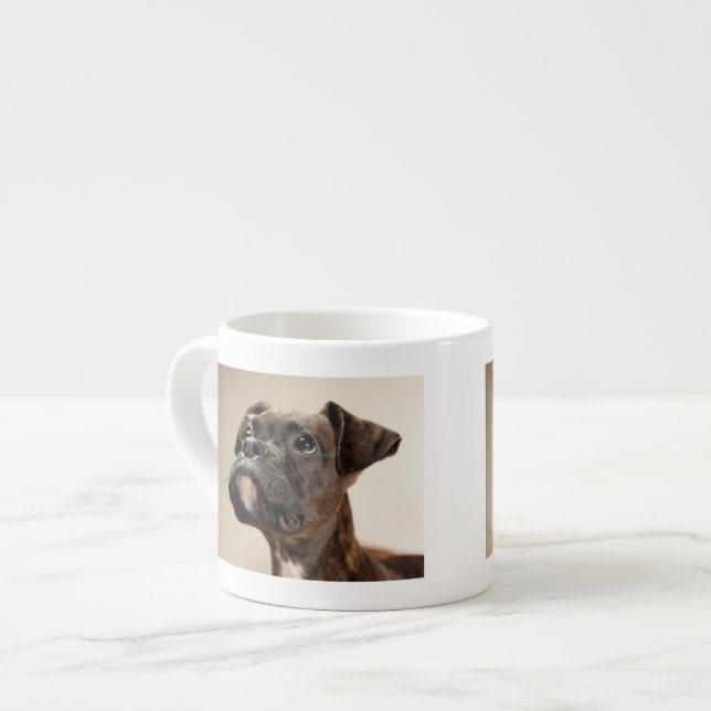 A Brindle Boxer puppy looking up curiously. Espresso Cup (Front Left)