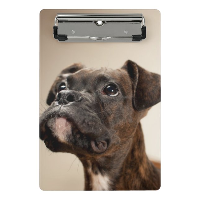 A Brindle Boxer puppy looking up curiously. Mini Clipboard (Front)