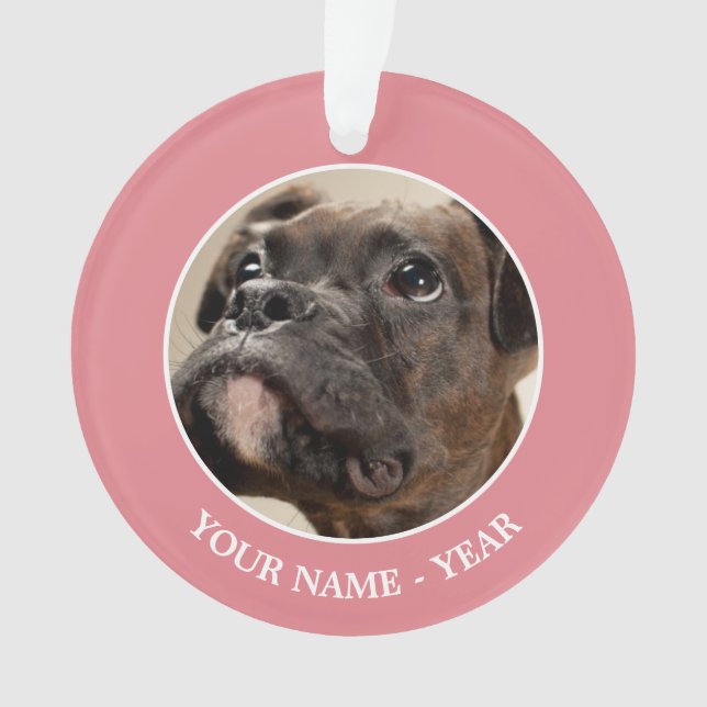 A Brindle Boxer puppy looking up curiously. Ornament (Front)