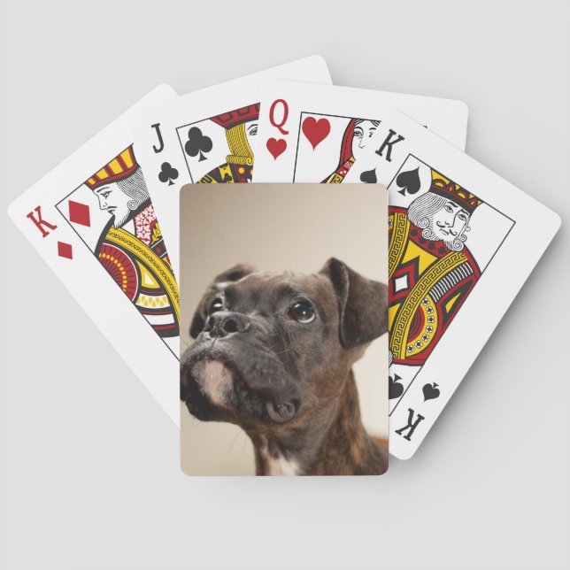 A Brindle Boxer puppy looking up curiously. Playing Cards (Back)