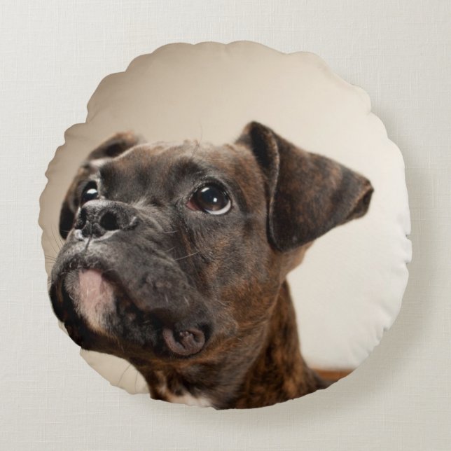 A Brindle Boxer puppy looking up curiously. Round Cushion (Front)