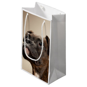 A Brindle Boxer puppy looking up curiously. Small Gift Bag
