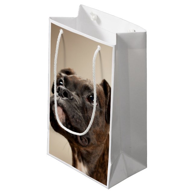 A Brindle Boxer puppy looking up curiously. Small Gift Bag (Front Angled)