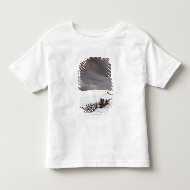 A Broken Fence Along A Snow Covered Field Toddler T-Shirt (Front)