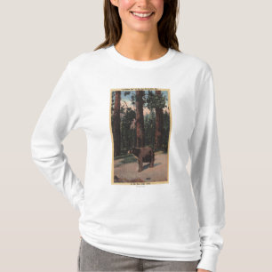 A Brown Bear in the Woods T-Shirt