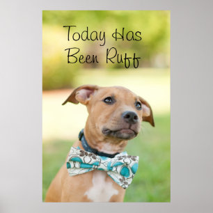A Brown Puppy Wears A Colourful Bow Tie Poster