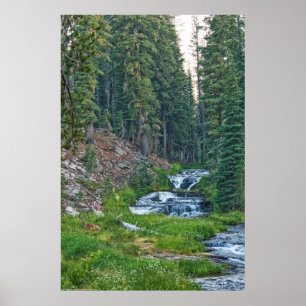 A Buck Rests at a Cascading River Poster