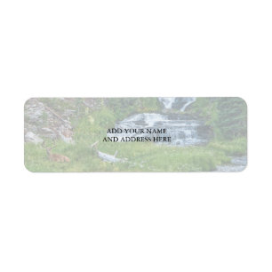 A Buck Rests at a Cascading River Return Address Label