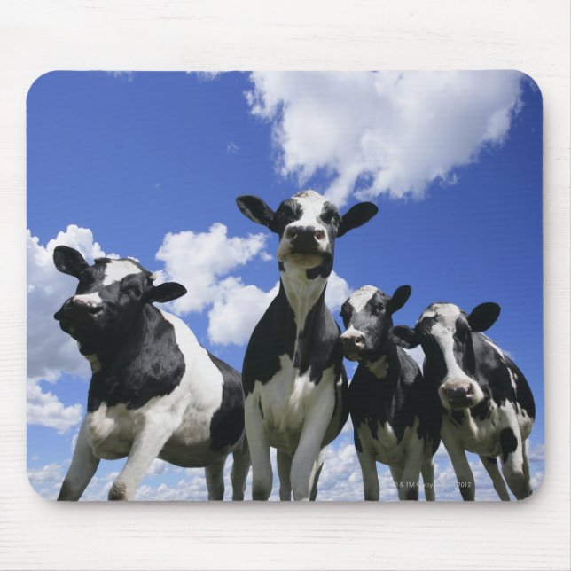 A bugs eye view of four young calves mouse pad (Front)