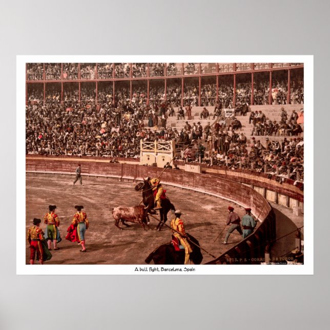 A bull fight, Barcelona, Spain Poster (Front)