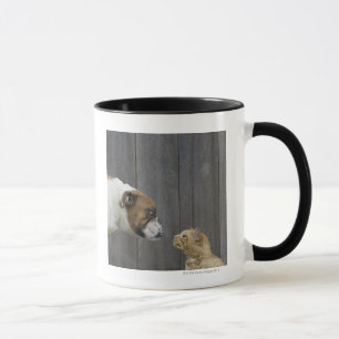A Bulldog and a cat are face-to-face in a stand Mug