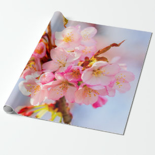 A Bunch Of Adorable And Sweet Sakura Flowers Wrapping Paper