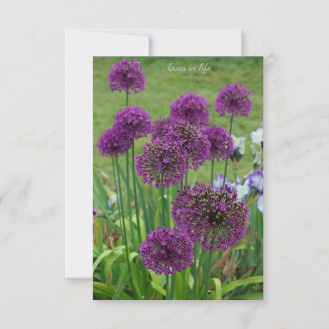 A Bunch of Alliums- Card (Front)