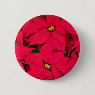 A bunch of Brightly Coloured Christmas Poinsettias 6 Cm Round Badge