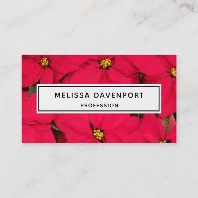 A bunch of Brightly Coloured Christmas Poinsettias Business Card (Front)