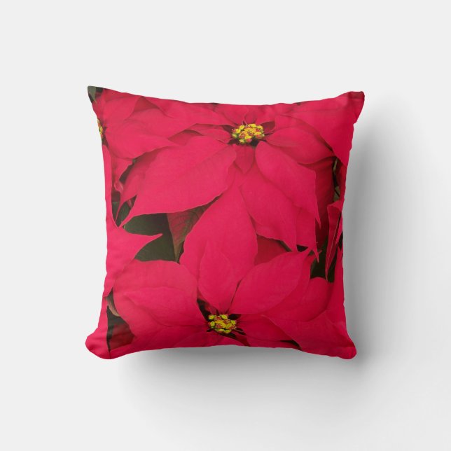 A bunch of Brightly Coloured Christmas Poinsettias Cushion (Front)