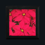 A bunch of Brightly Coloured Christmas Poinsettias Gift Box<br><div class="desc">Wonderful cheerful flowers. The vibrant red petals contrasting with their bright yellow centres makes this festive christmas themed image of a group of pointettias really pop. A beautiful floral themed photograph.</div>