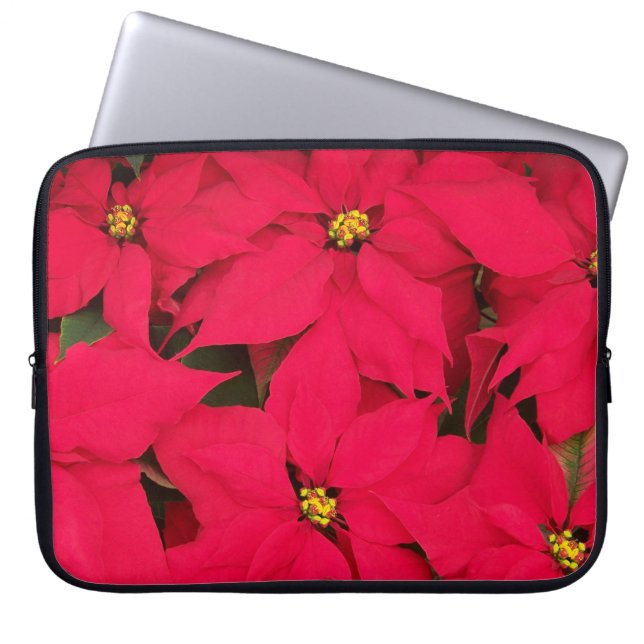 A bunch of Brightly Coloured Christmas Poinsettias Laptop Sleeve (Front)
