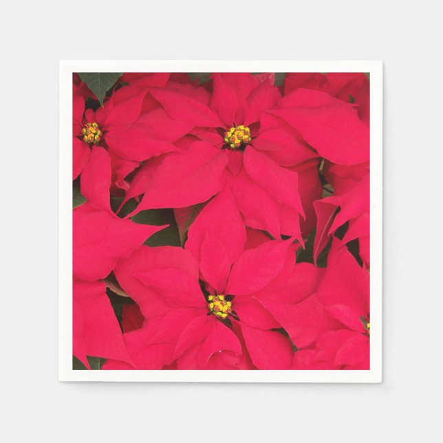 A bunch of Brightly Coloured Christmas Poinsettias Napkin (Front)