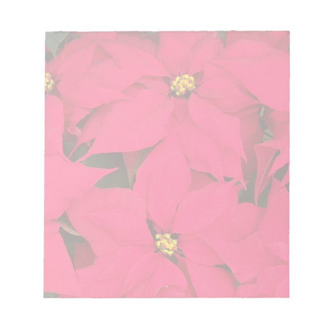 A bunch of Brightly Coloured Christmas Poinsettias Notepad (Front)