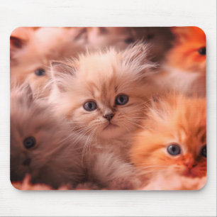 A Bunch Of Cute Kittens on a Laptop Desktop Tablet Mouse Pad