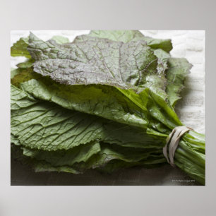 A bunch of fresh mustard greens, from a farmer's poster