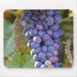 A bunch of Pinot Noir grapes in a Chambertin Mouse Pad