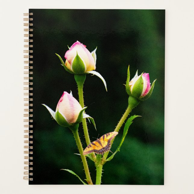 A butterfly and roses planner (Front)