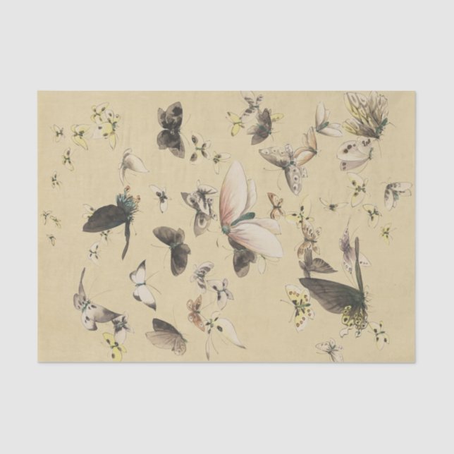 A Butterfly Convention Tissue Paper (Front)