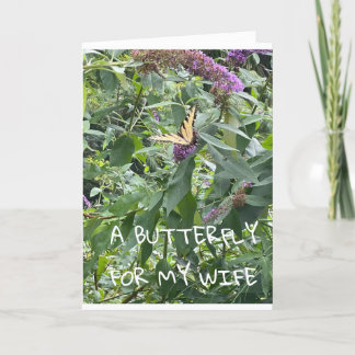 A **BUTTERFLY** FOR MY **WIFE** BIRTHDAY CARD