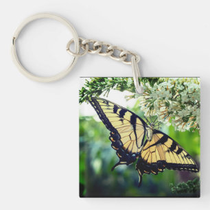 A butterfly key ring