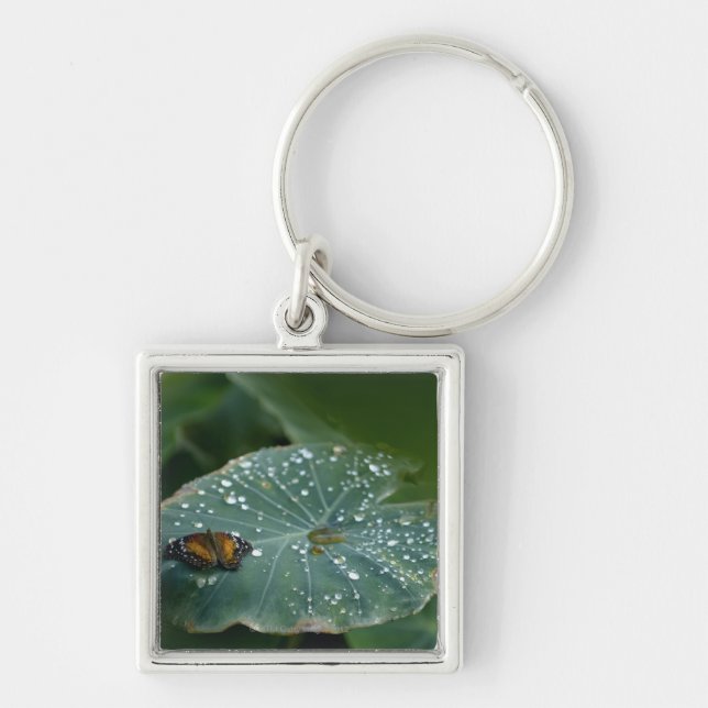 A Butterfly on a leaf with water droplets Key Ring (Front)