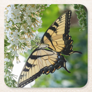A butterfly with yellow and black wings square paper coaster