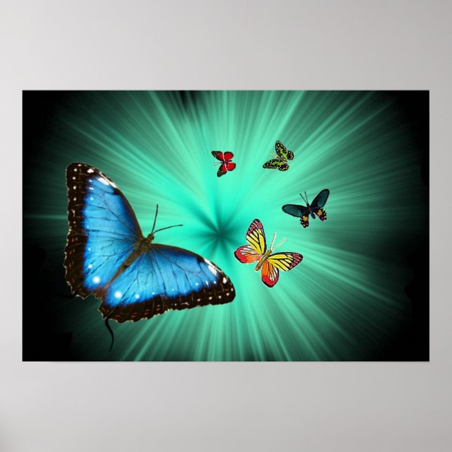 A Butterflys Journey Poster (Front)